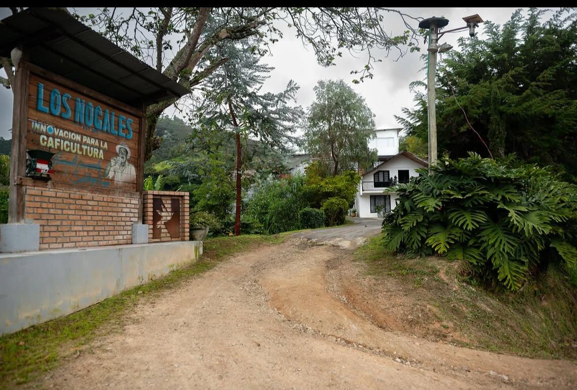 Café de especialidad Sudán rume lavado  — variedad Sudán Rume, finca Nogales, Flia Hernández , región Pitalito Huila 